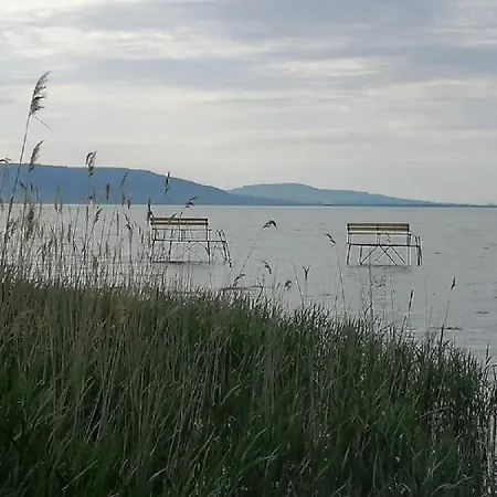 7 Ferohelyes Haz A Totol 15 M-re Sajat Steggel Es Csonakkal Balatonfenyvesen *