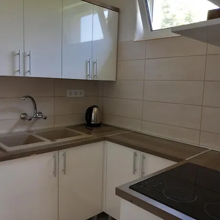 7 Férőhelyes Ház Balatonfenyvesen A Tótól 15 M-re Saját Stéggel és Csónakkal