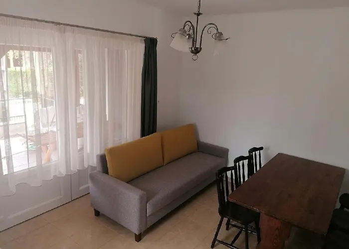 7 Ferohelyes Haz A Totol 15 M-re Sajat Steggel Es Csonakkal Balatonfenyvesen Balatonfenyves