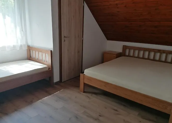 7 Ferohelyes Haz A Totol 15 M-re Sajat Steggel Es Csonakkal Balatonfenyvesen Holiday home