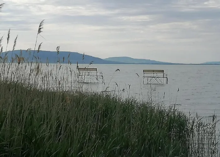 7 Ferohelyes Haz A Totol 15 M-re Sajat Steggel Es Csonakkal Balatonfenyvesen *