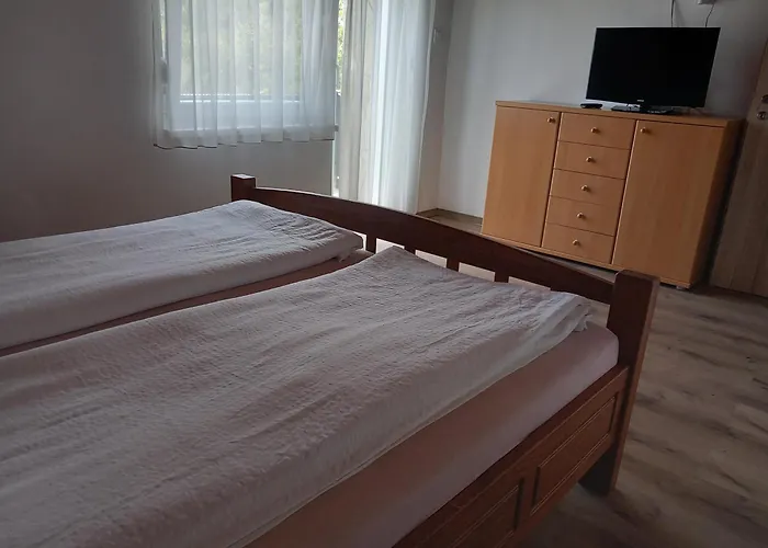 7 Ferohelyes Haz A Totol 15 M-re Sajat Steggel Es Csonakkal Balatonfenyvesen Балатонфеньвеш