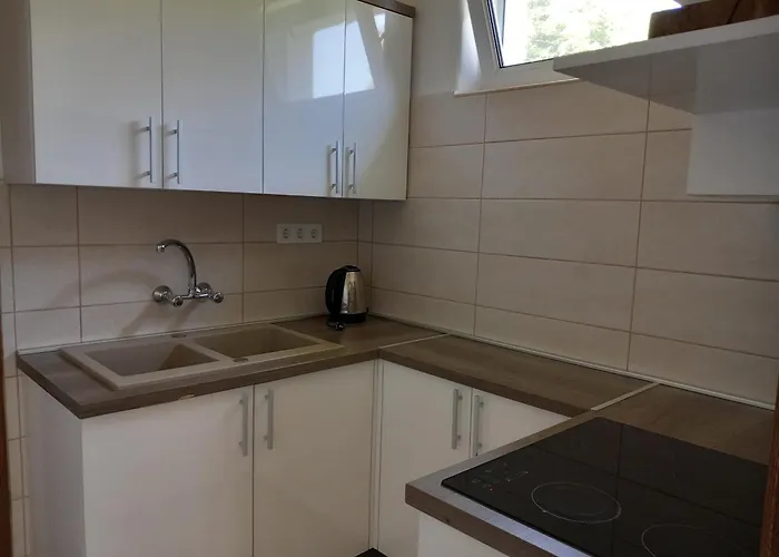 7 Ferohelyes Haz A Totol 15 M-re Sajat Steggel Es Csonakkal Balatonfenyvesen